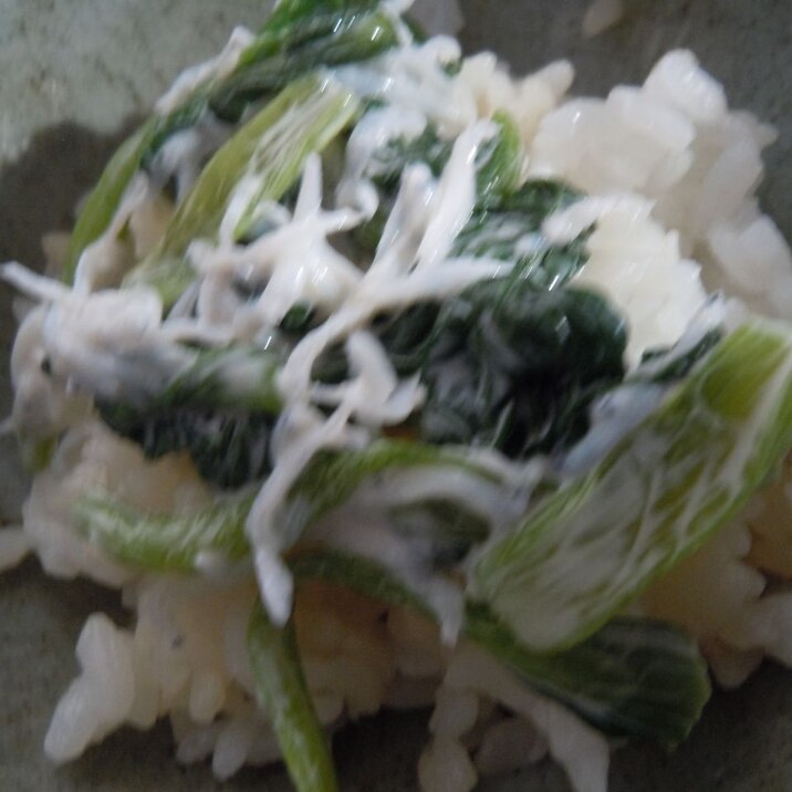 小松菜とシラスのマヨ丼
